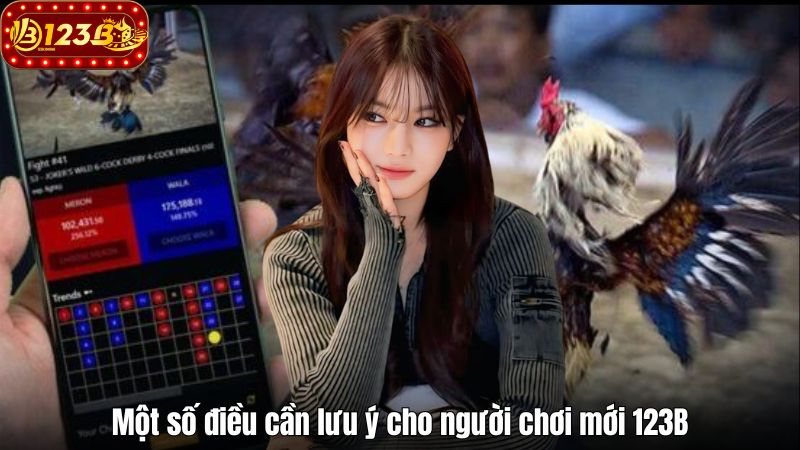 Một số điều cần lưu ý cho người chơi mới 123B