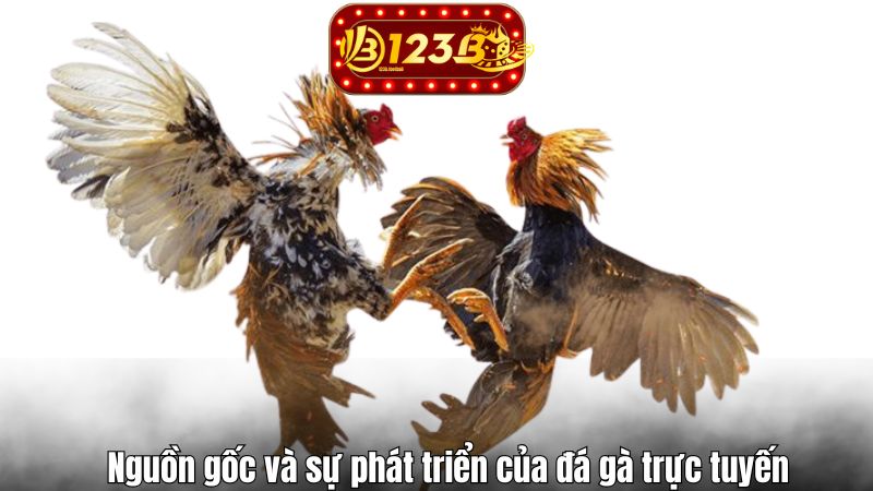 Nguồn gốc và sự phát triển của đá gà trực tuyến