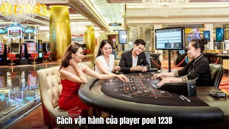 Cách vận hành của player pool 123B